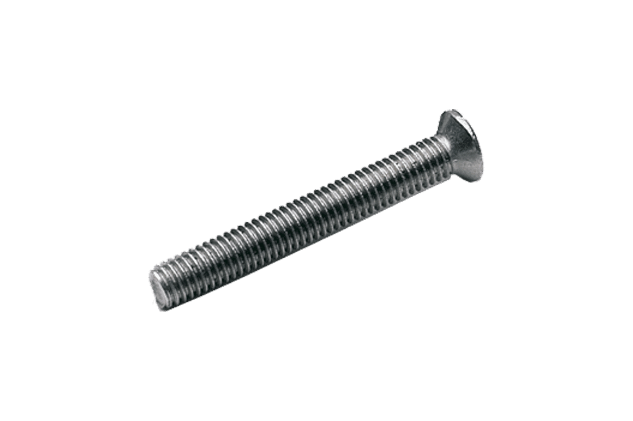 Stainless steel screw